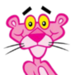 thepinkpantherofisrael