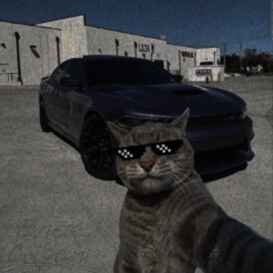 dogomrt2