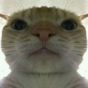 skullcito67