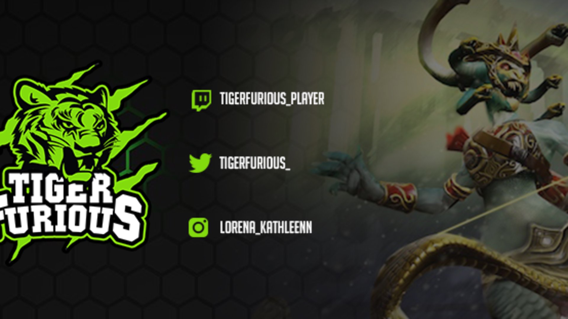 TigerFurious_Player Offline Background