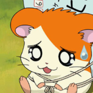 nerineri