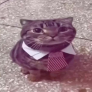 w2dkkj