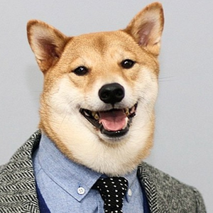 Doooge