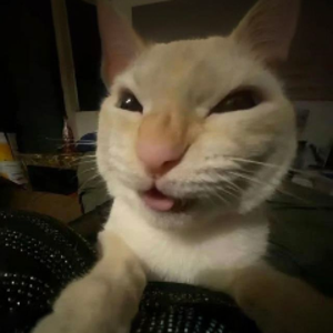 shiroo_42