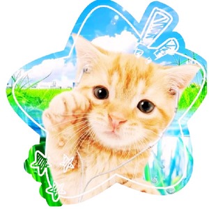 aero_stream_tv