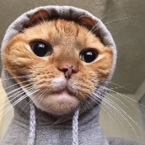 paaakooo
