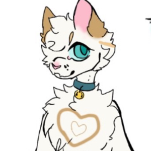 sunset_thefloof