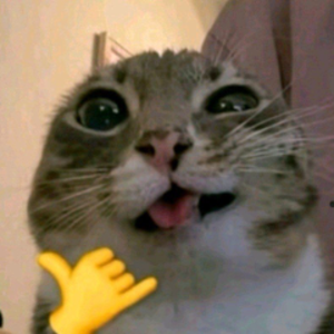 nikitos_d3