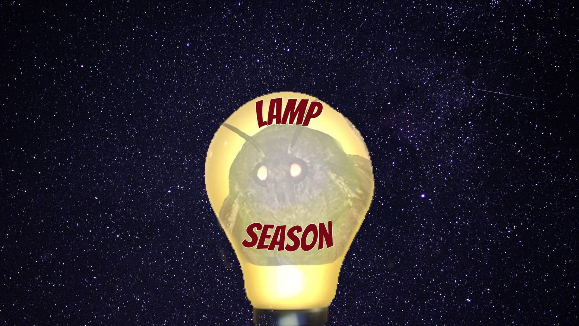 LampSZN Offline Background