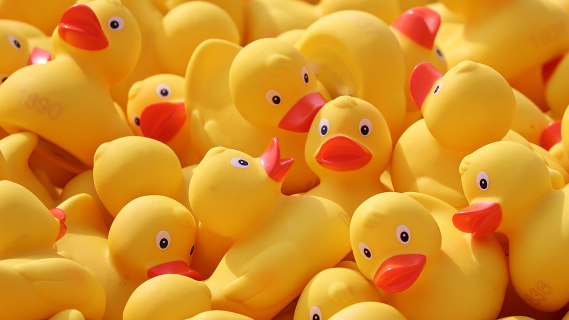 DetourDuck Offline Background