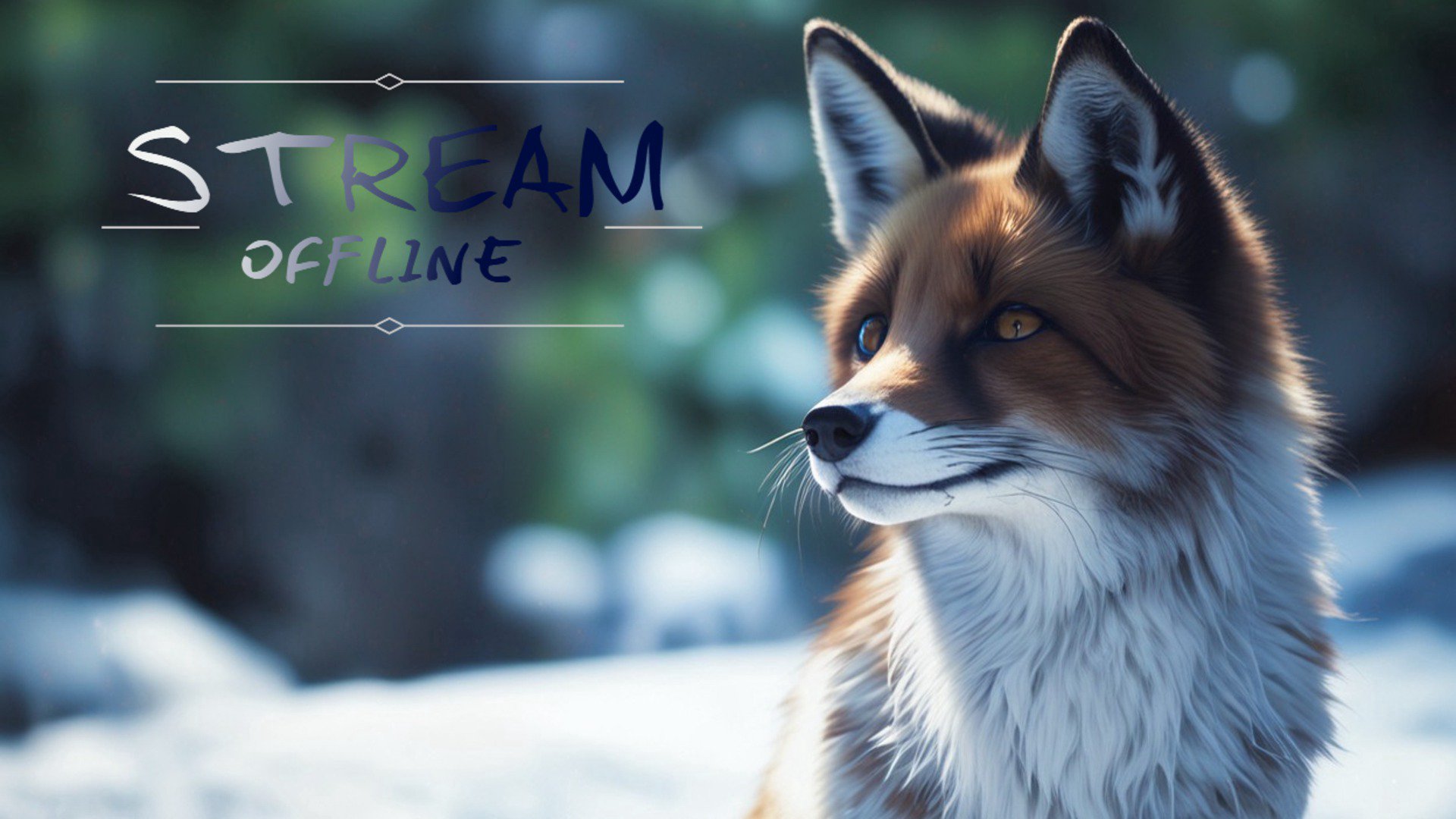 BravoLissi Offline Background