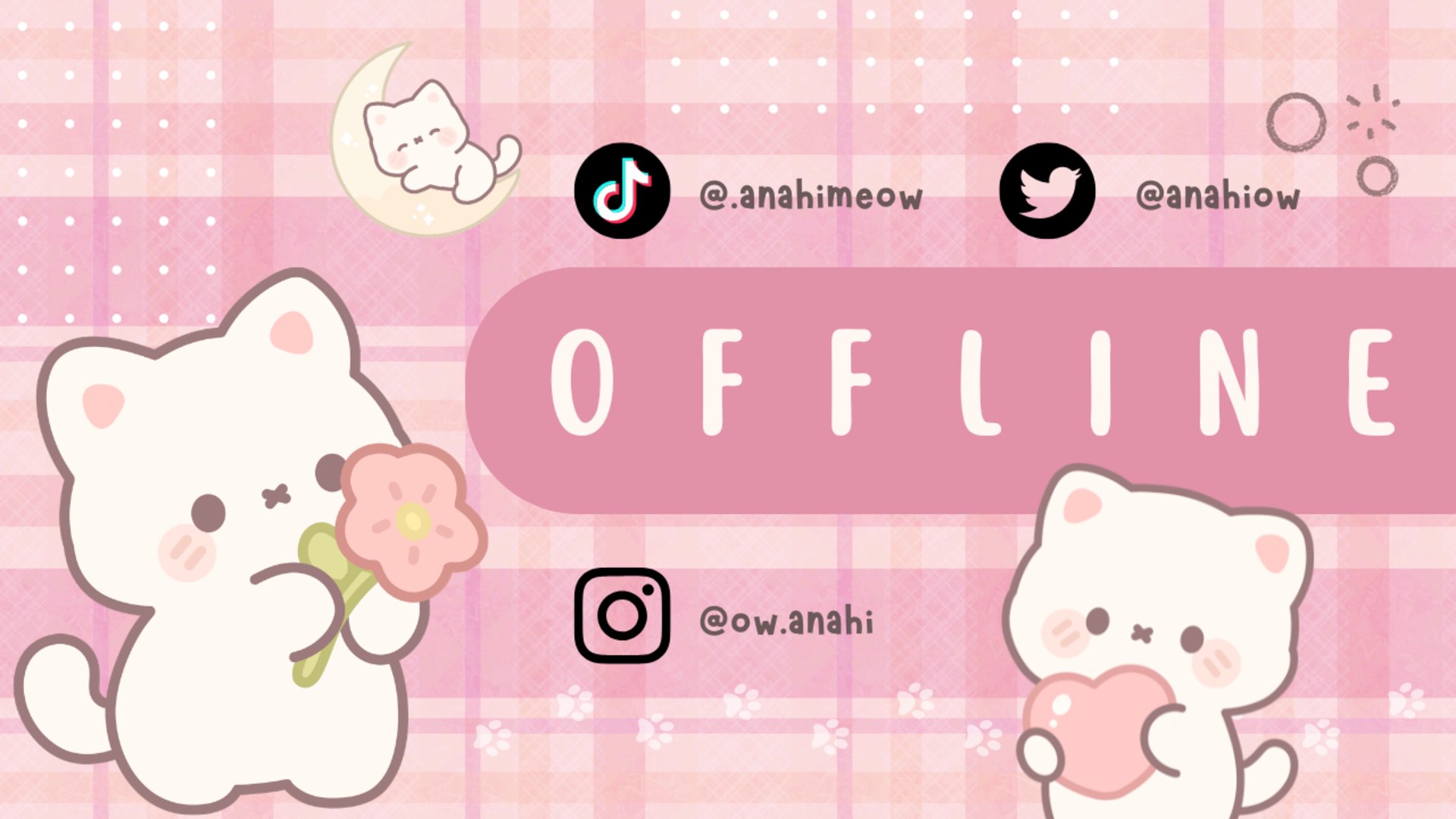 AnahiMeow Offline Background