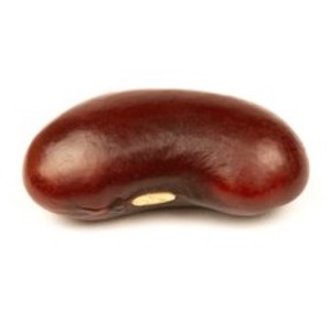 kidneybean_