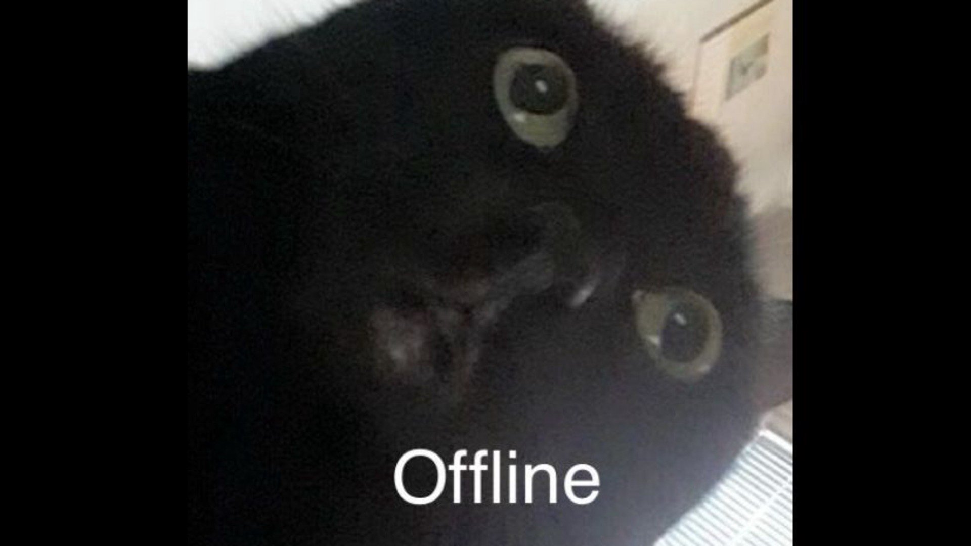 xKritzelBob Offline Background