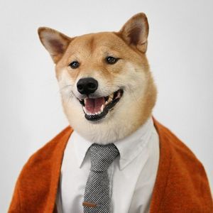 Mc_Woof
