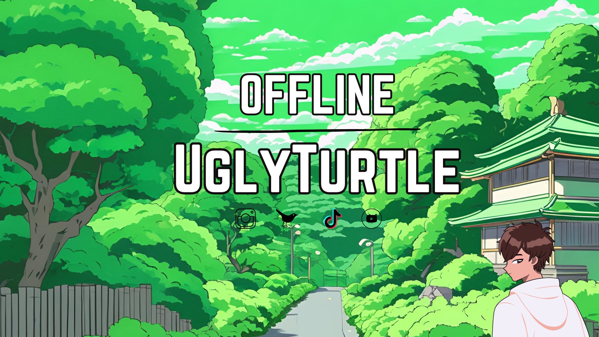 UglyTurtle Offline Background