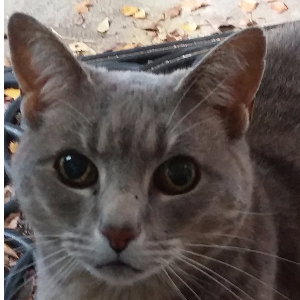 JasperJosie