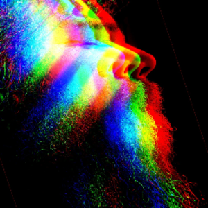 Iwudacus