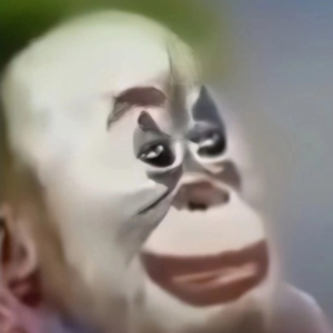 ssshhhiiirrraaa