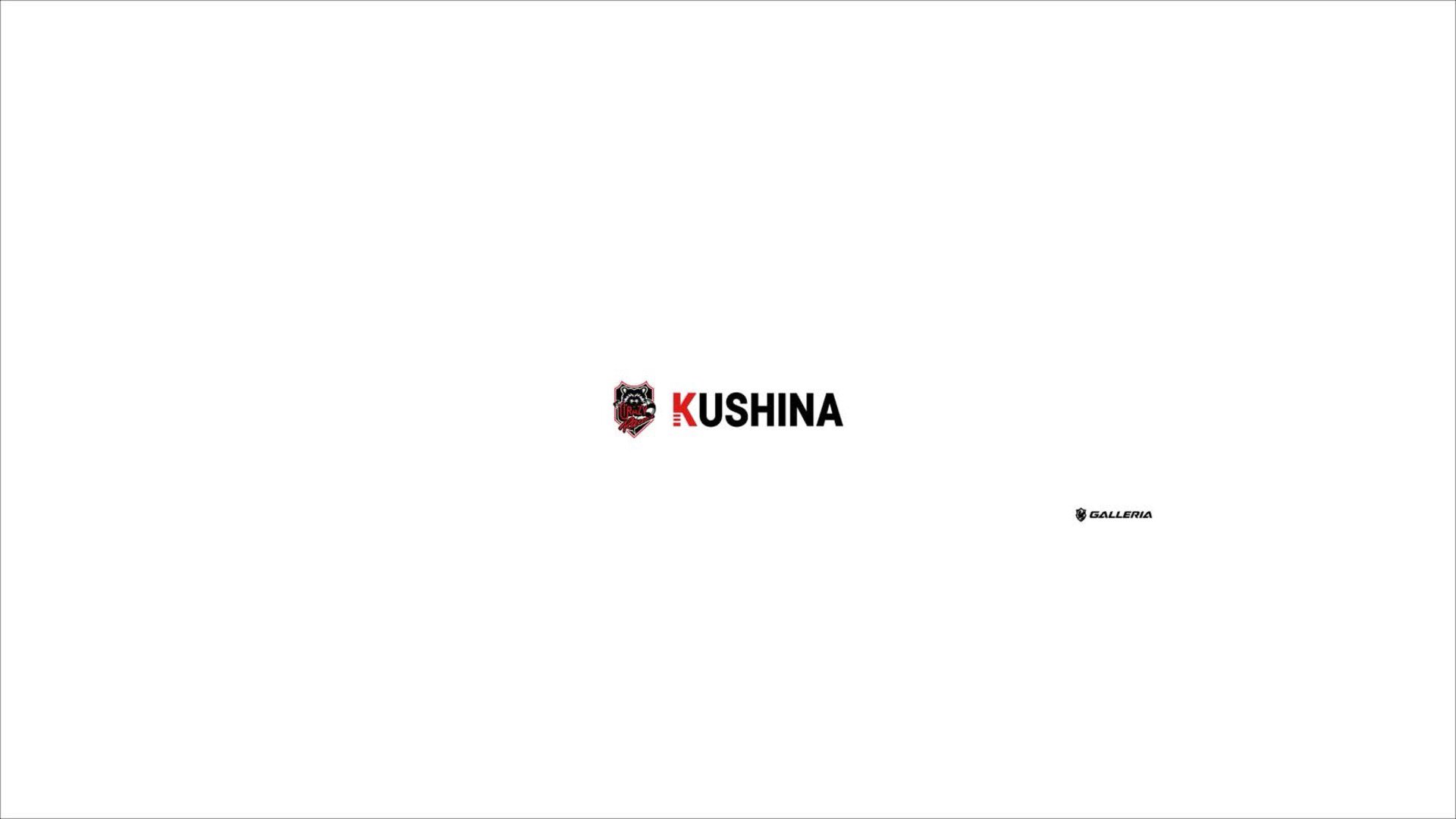 kushina_sf6 Offline Background