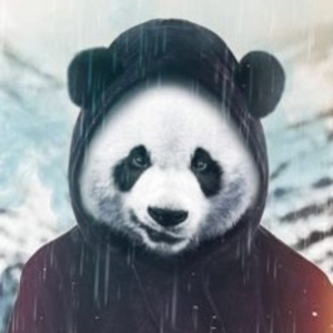 pandaelpiter