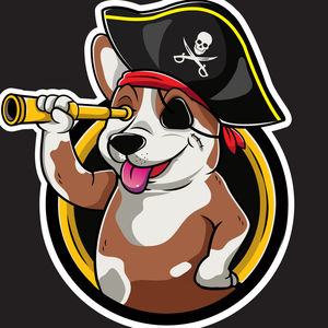 dog_splash