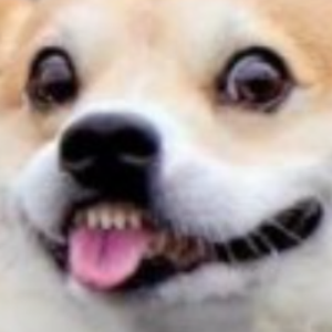 CapnKayso