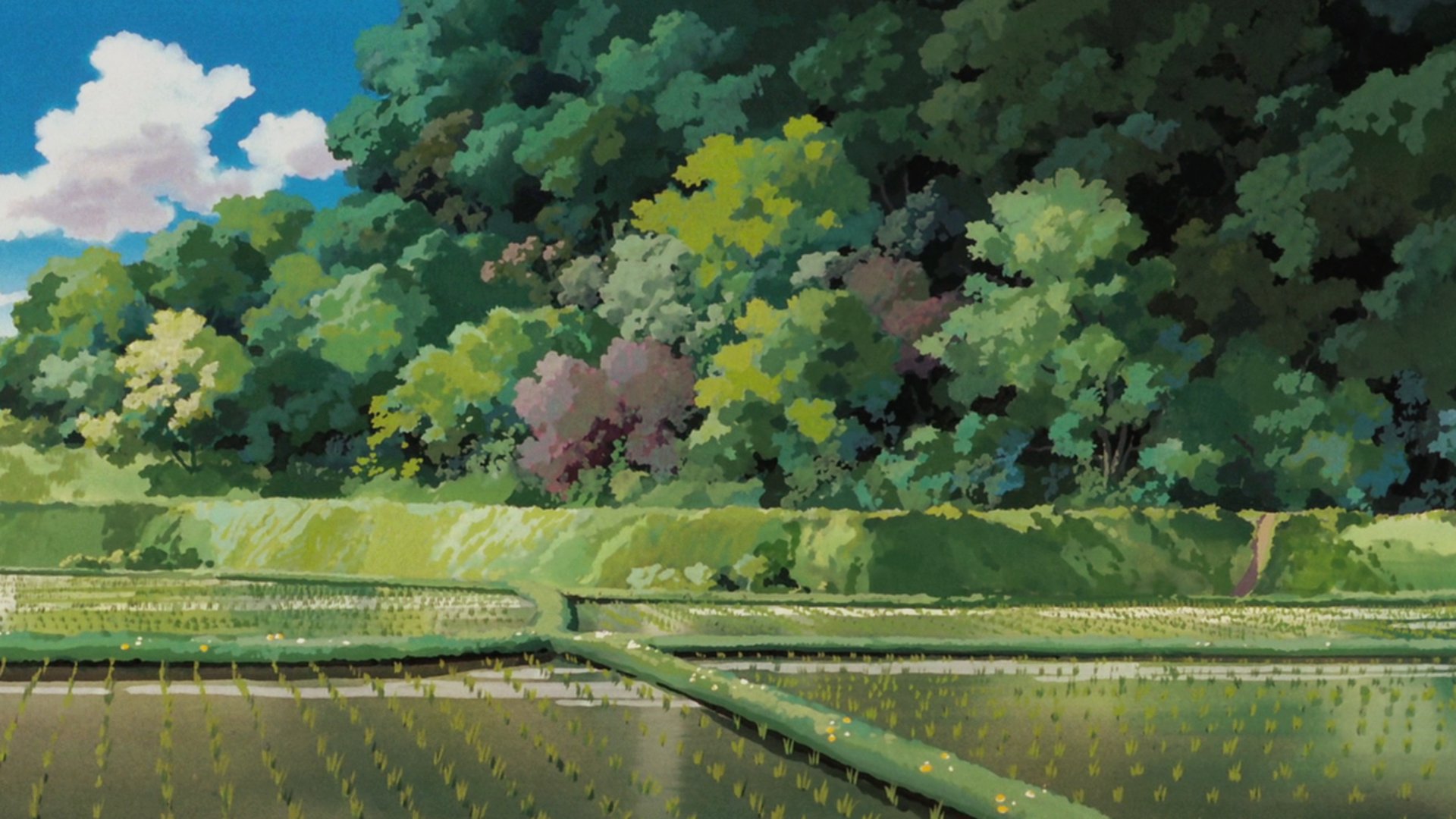 jiyay Offline Background