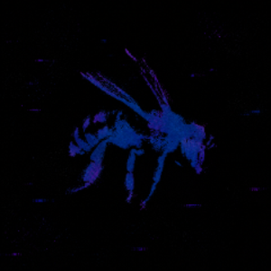 glitchzin00