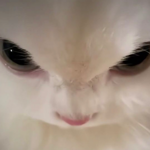 beeziebub