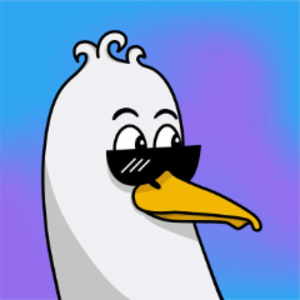 GoelandFurtif