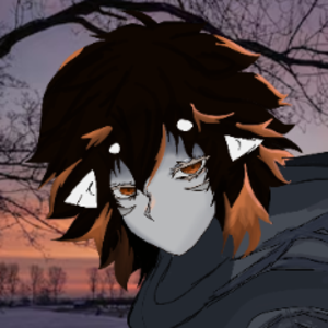 Xerayni