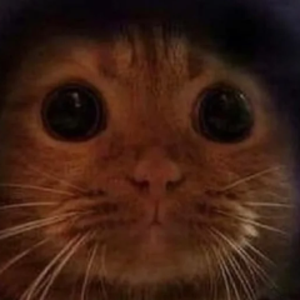 tomekasa