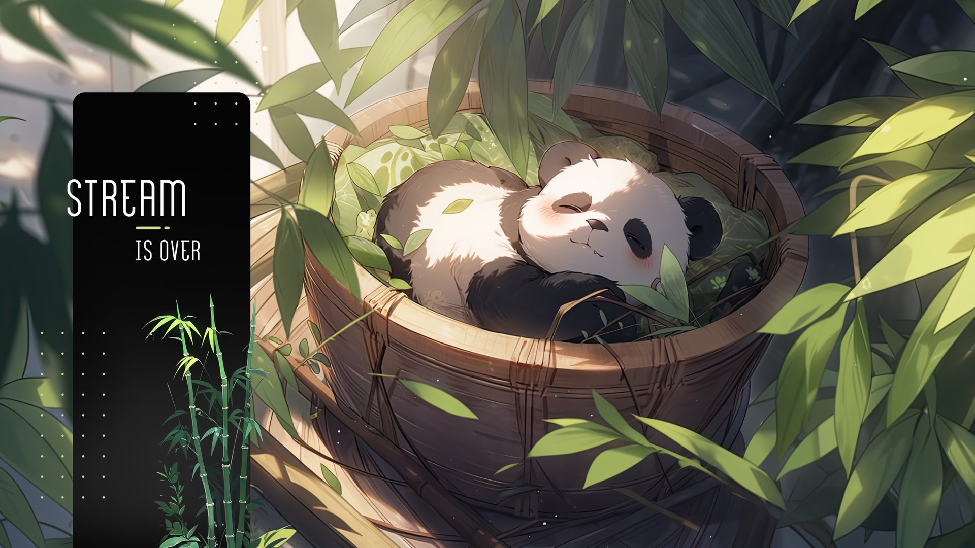 BoniAlline Offline Background