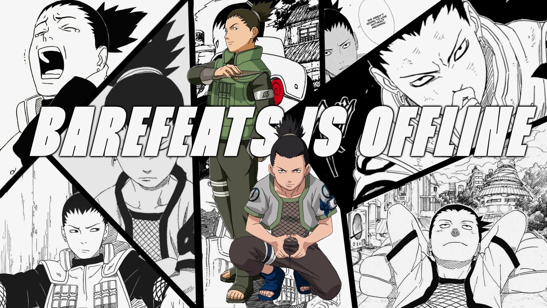 BareFeatsGaming Offline Background