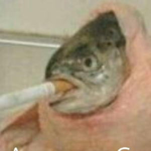 bl0q_