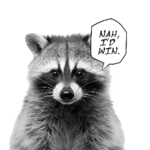 alm1ghtyraccoon