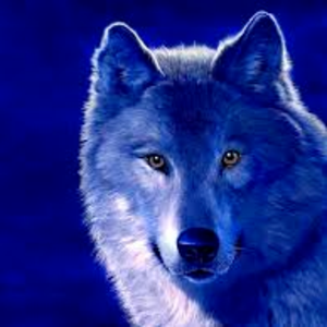WolfiBytes