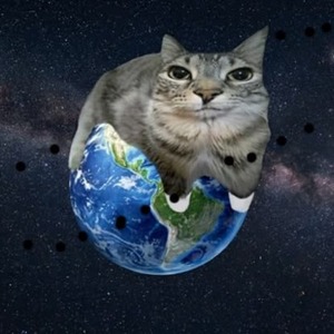 androkitte