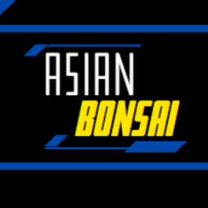 AsianBonsaiii