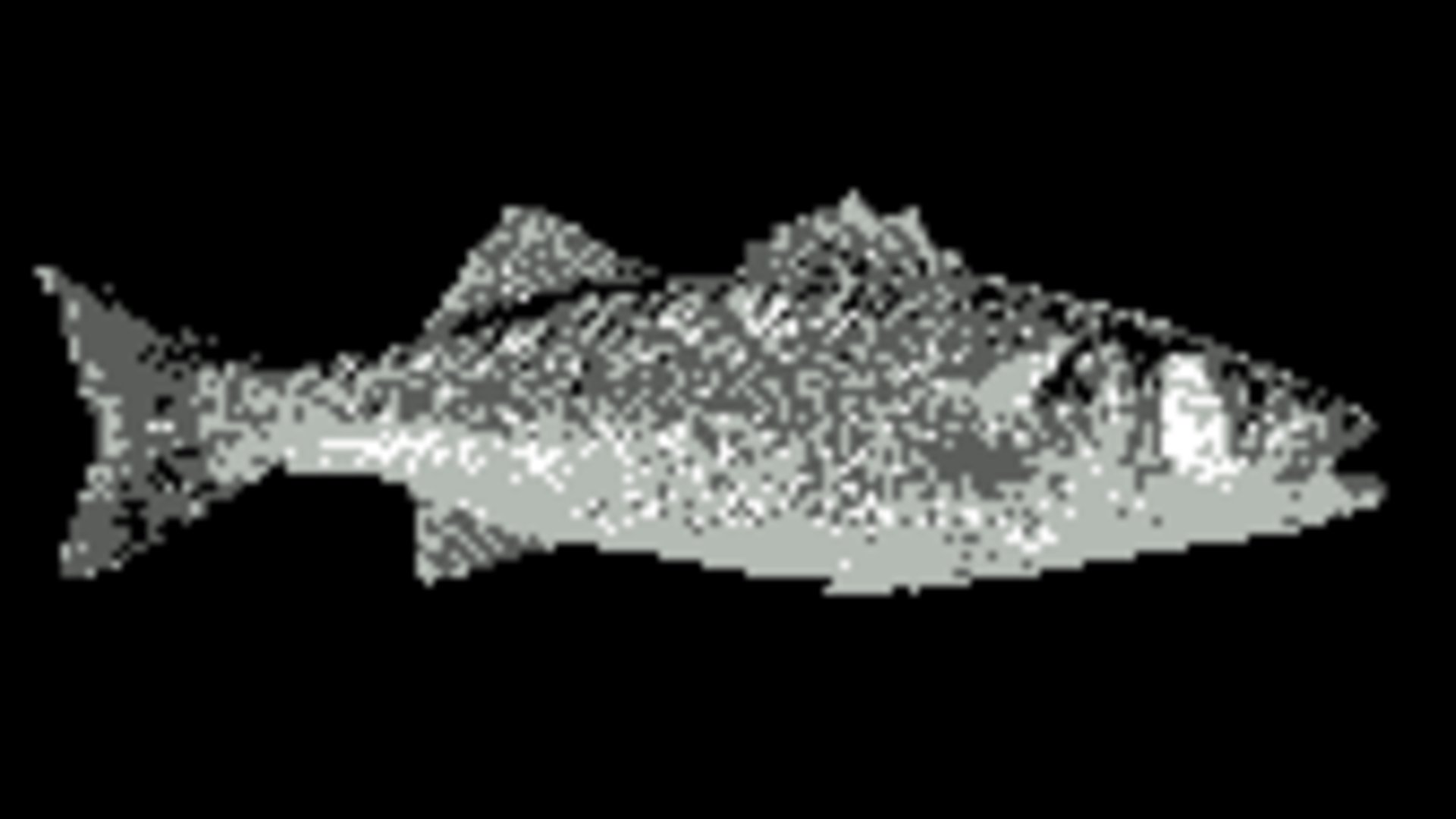 iomoonofjuputer Offline Background