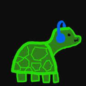 n3rdturtle