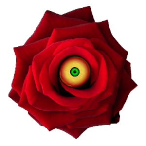 MajorasRose