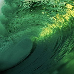 Greenwavex
