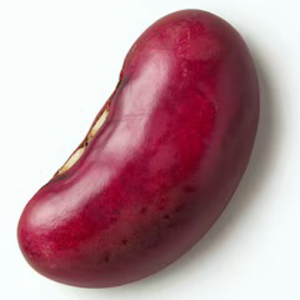 JoeBeans_5