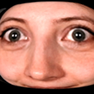 cathakaktus
