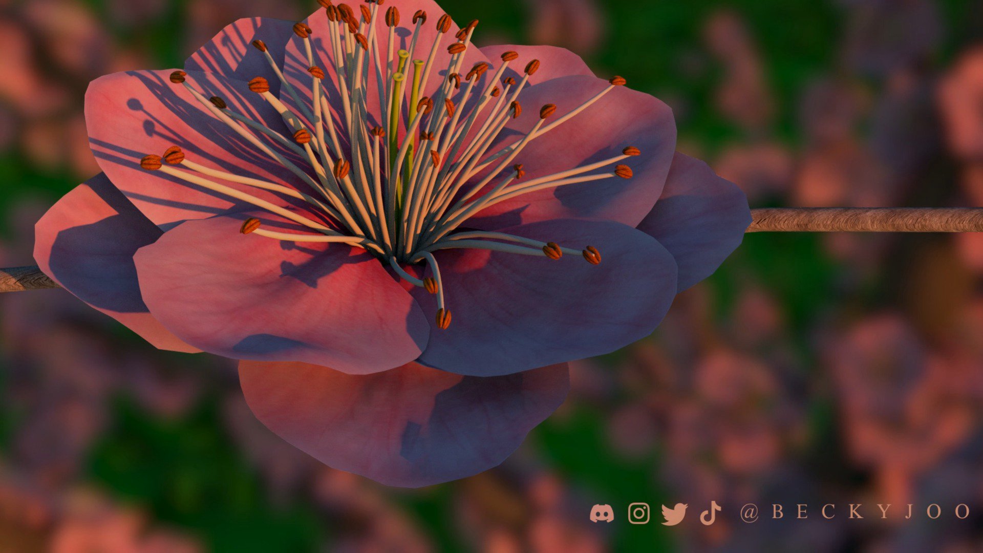 beckyjoo Offline Background