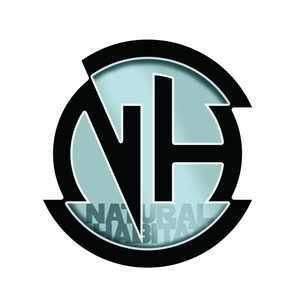 noyzieh_