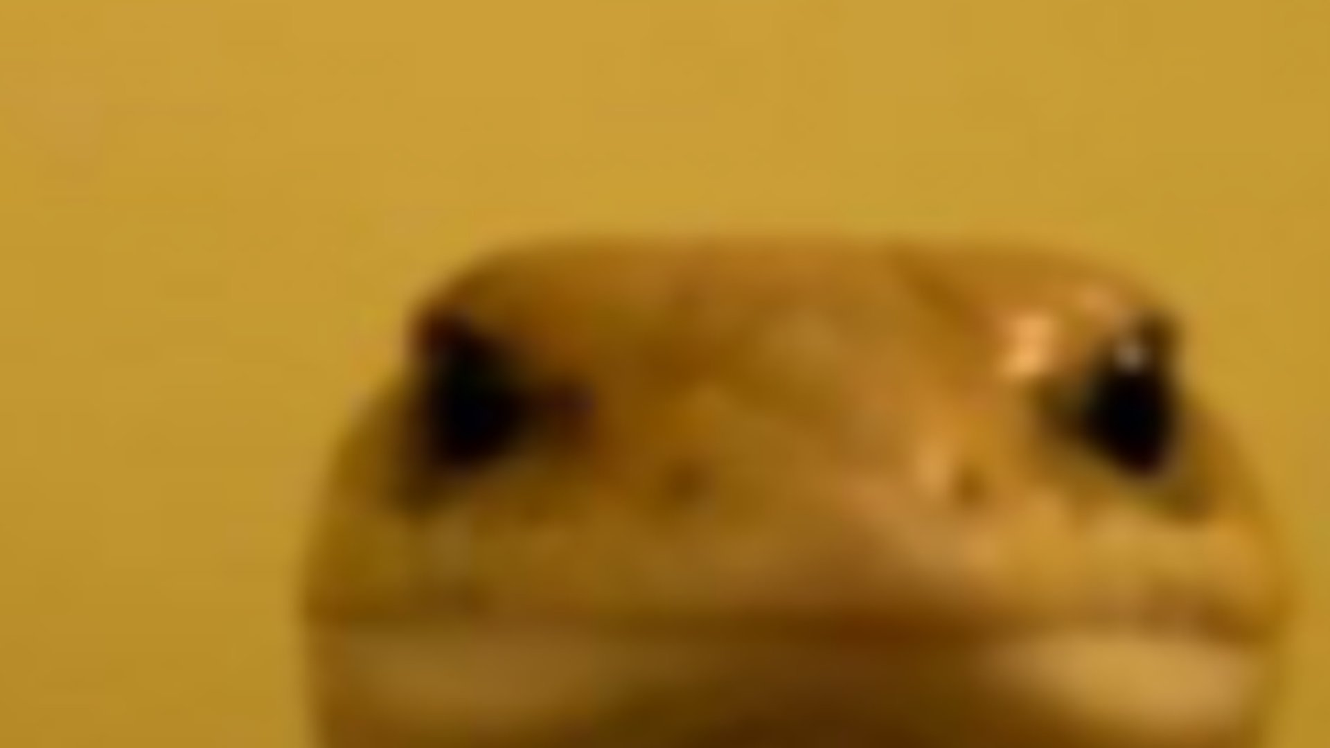 Fleh_ Offline Background
