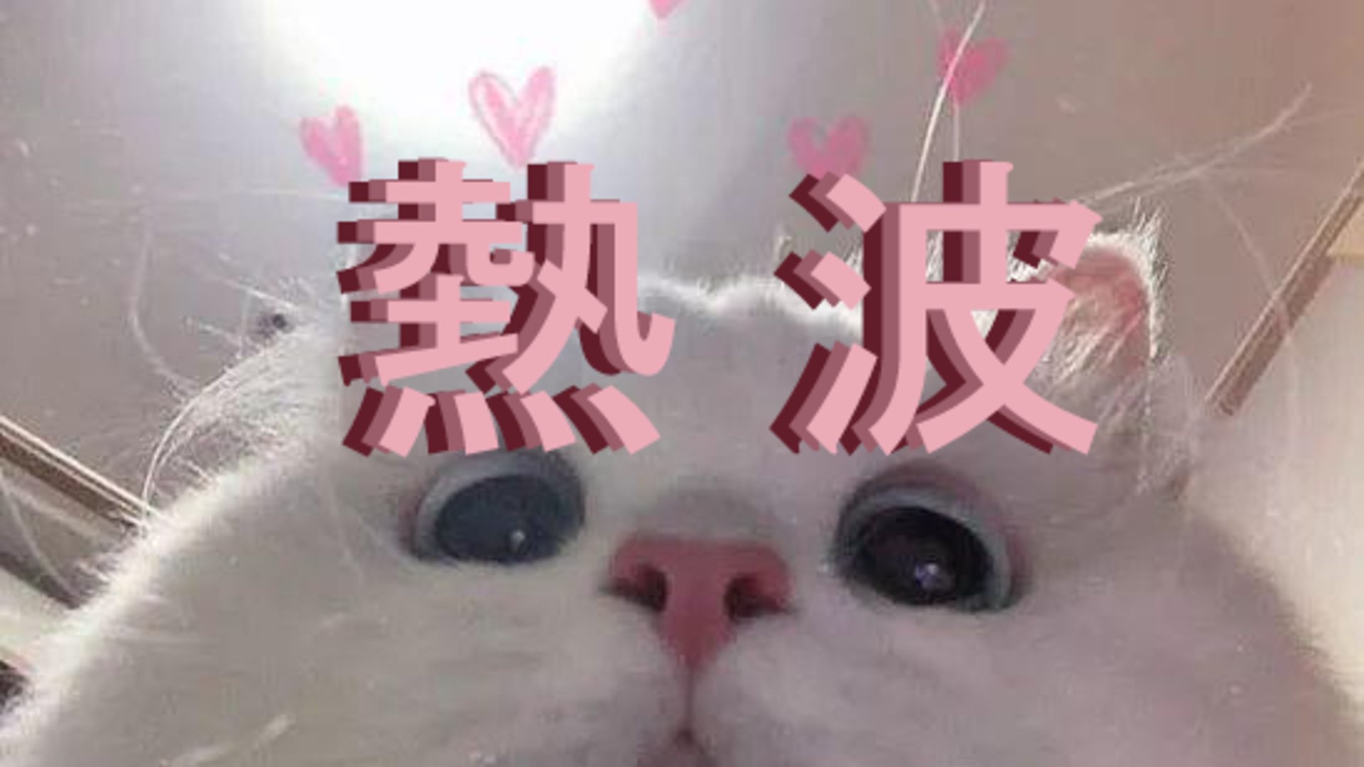 naminetsu Offline Background